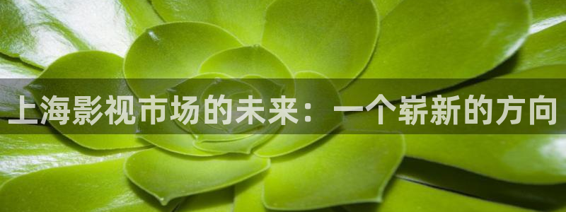 桔子图片下载：上海影视市场的未来：一个崭新的方向