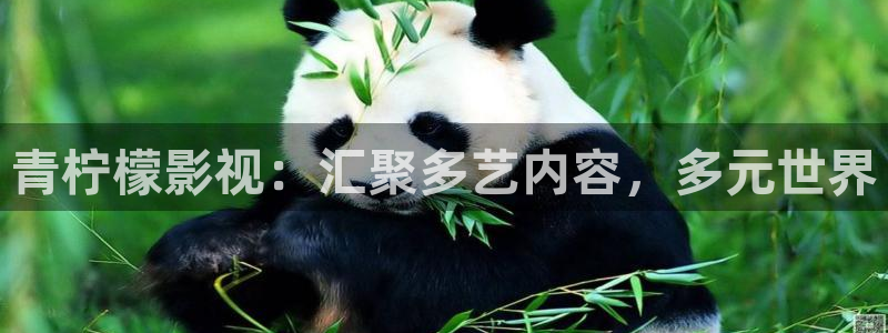 桔子电影网手机：青柠檬影视：汇聚多艺内容，多元世界