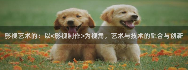 桔子mv在线观看：影视艺术的：以<影视制作>为视角，艺术与技术的融合与创新