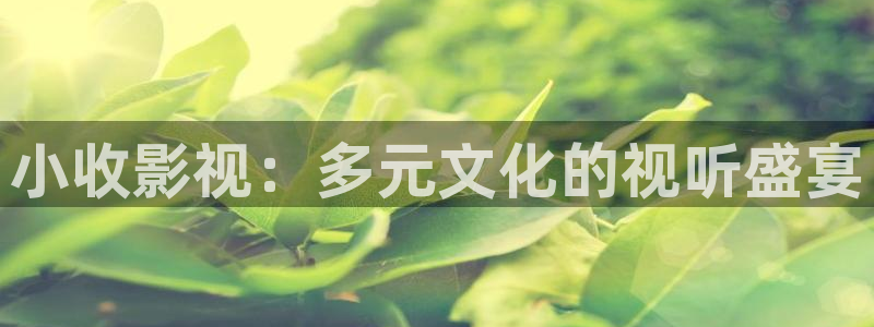 桔子在线影院免费播放电视剧大全：小收影视：多元文化的视听盛宴