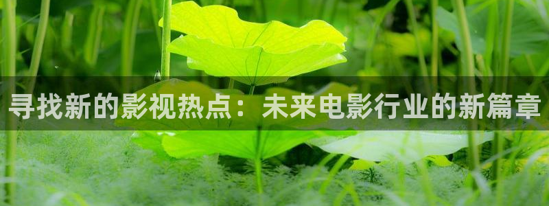 桔子在线影院免费播放电视剧大全：寻找新的影视热点：未来电影行业的新篇章