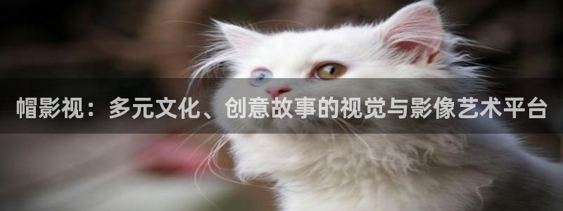 桔子橘子：帽影视：多元文化、创意故事的视觉与影像艺术平台