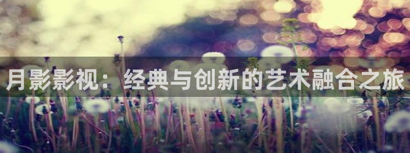桔子影视app下载：月影影视：经典与创新的艺术融合之旅