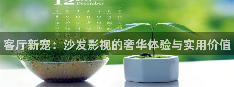 桔子视频免费在线观看：客厅新宠：沙发影视的奢华体验与实用价值